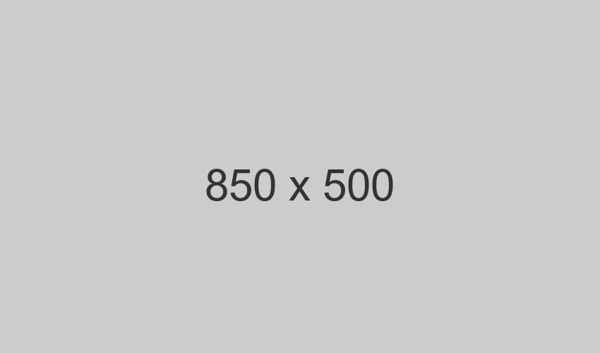 Flutter Mobile App Development